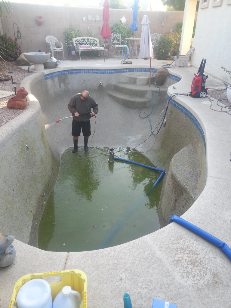 Green Pool Clean-up