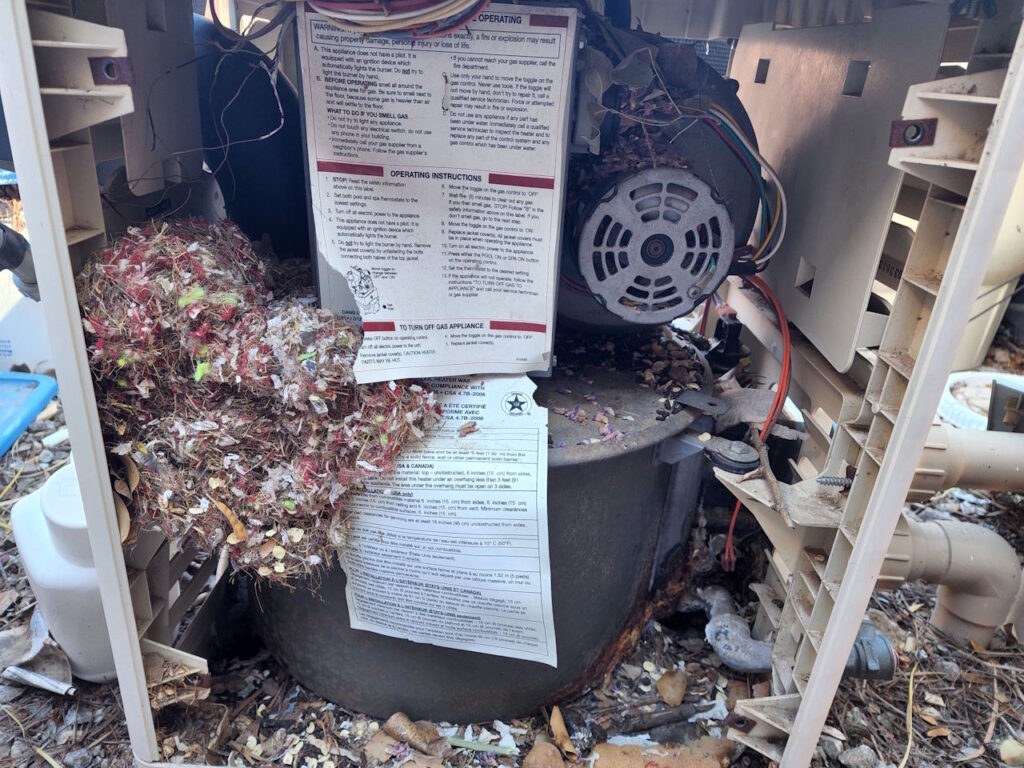 pool heater internal debris