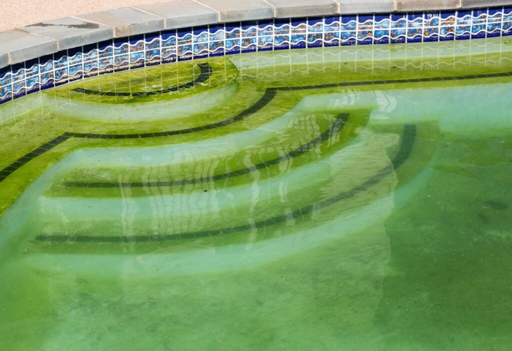 Why Pools Turn Green So Fast