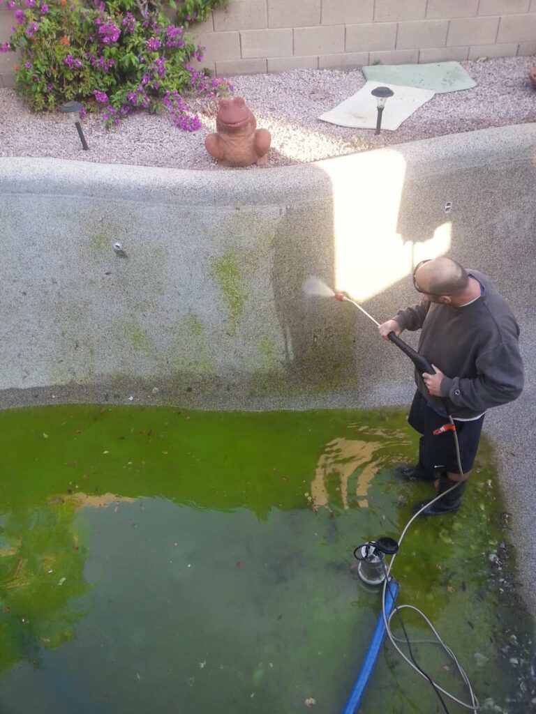 Green pool clean-up service with algae removal and pressure washing