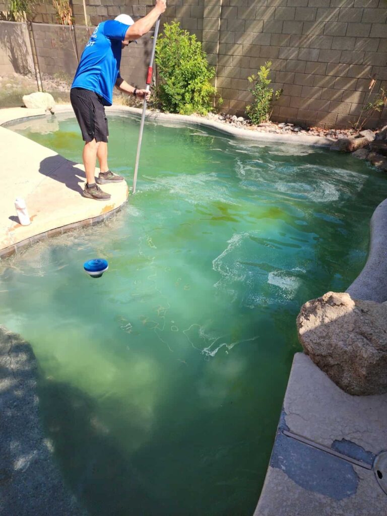 Before photo of green pool clean-up and algae removal by Aqua Squad in Mesa AZ