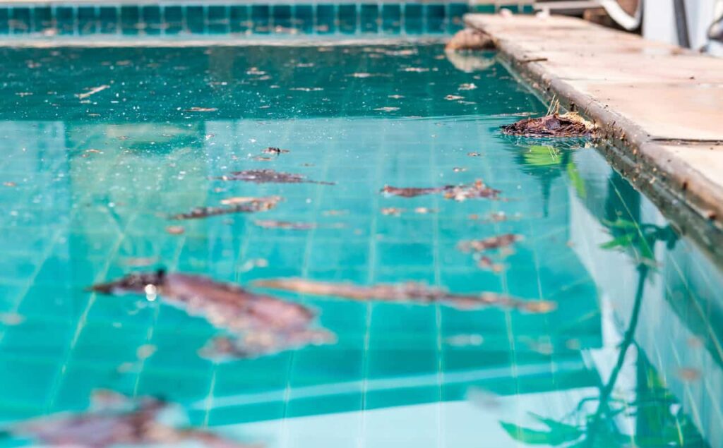 pool cleaning companies do each week