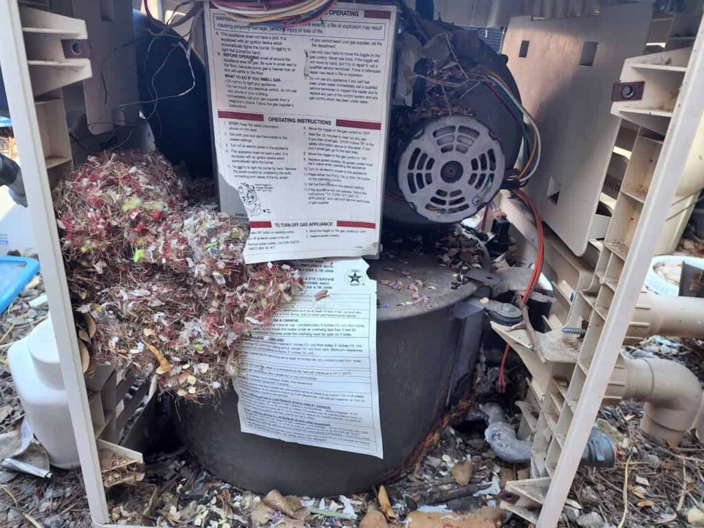 Pool heater repair showing internal system inspection