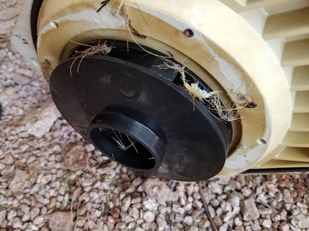 Pool pump impeller repair