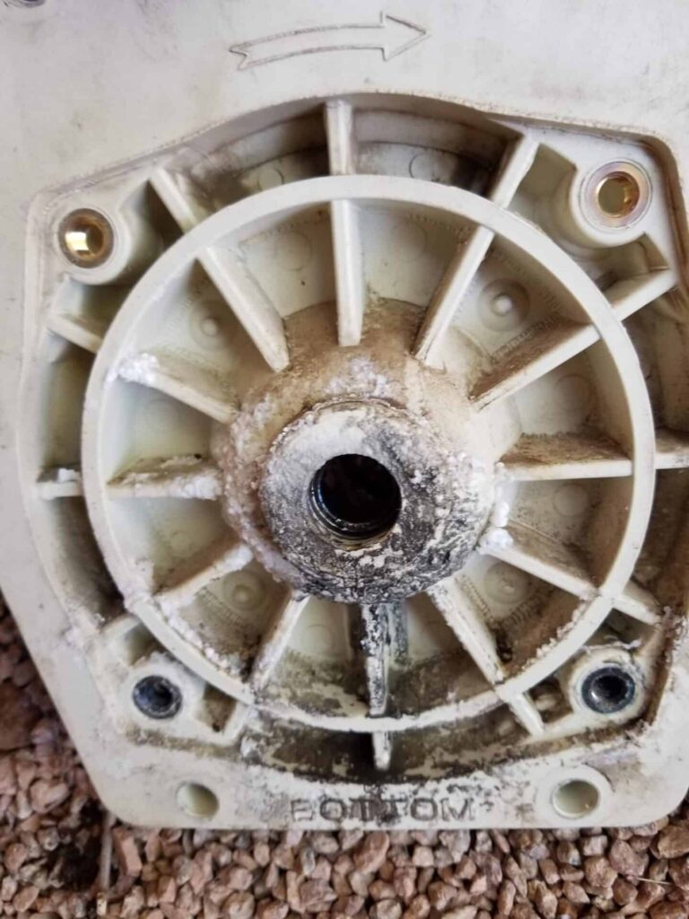 pool pump motor replacement