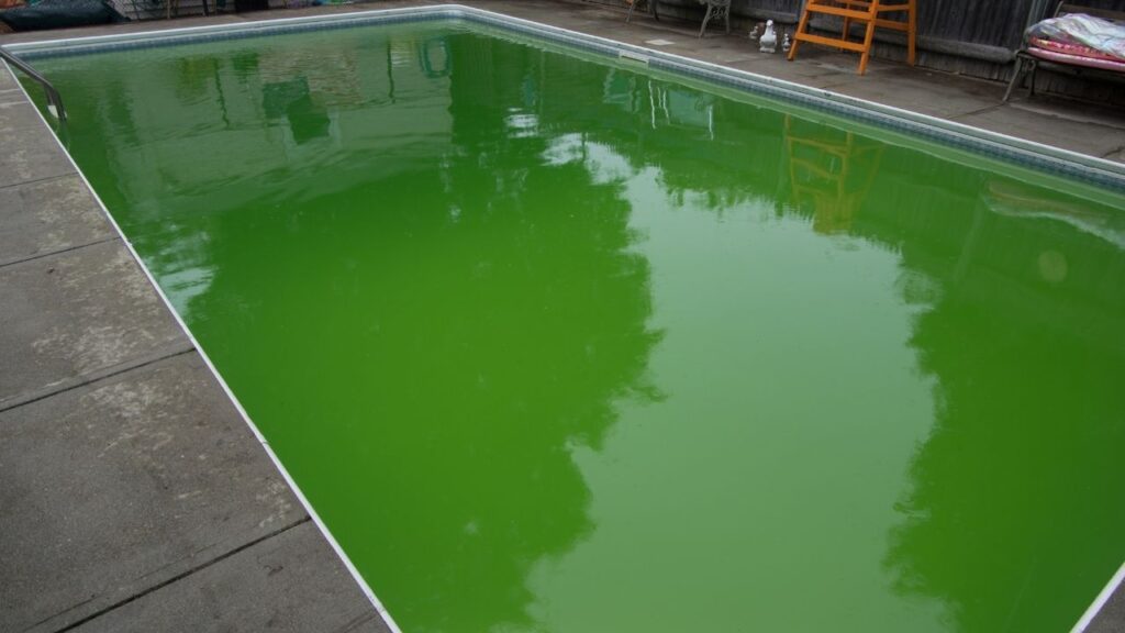 green pool water